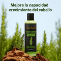 Keratina + Romero + Ortiga + Biotina - Champú Nutritivo y Regenerador para Cabello Grueso y Voluminoso (400 ml) - IdeasLabCo™